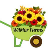 Wilmor_farms_logo