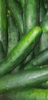 Prlongcuke