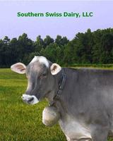 Southern_swiss_screen_saver_with_pecan